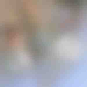 Nastro di riparazione per zanzariere | INSECTAPE