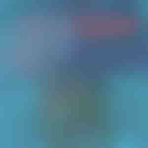 Pantaloncini da bagno ad asciugatura rapida | TOGGIES