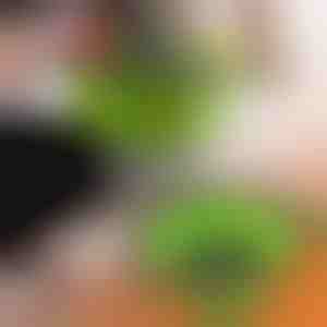 Filtri in silicone (2 pz.) | FOLDRAIN