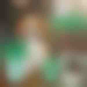 Tazza per la pulizia delle zampe del cane | PAWSANI