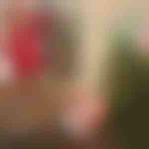 Babbo Natale con il paracadute | SANTASWING