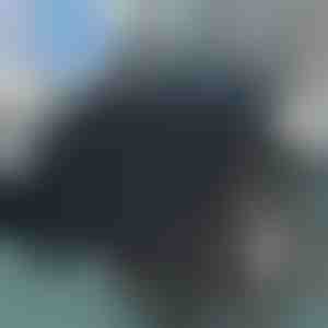 Cuscino per sedile girevole | SPINPAD