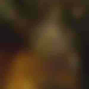 Luci a forma di stella (6 m) | STARYGLOW