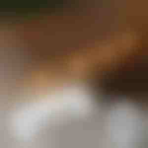 20x clip autoadesive per il montaggio delle luci | CORDCLIP