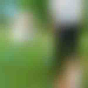 Guinzaglio per cani a mani libere | CROSSLEASH