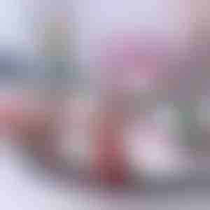 Treno di Natale | TRAINMAS