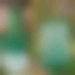 Trappola per mosche sospesa riutilizzabile per giardino, terrazza e balcone | INSECTA