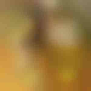 Lavagna luminosa LED in acrilico con 7 marcatori | LUMOBOARD