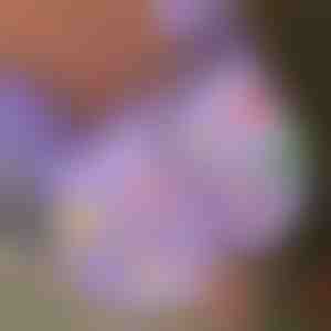 Charms luminosi di Natale per scarpe (7 pezzi) | SHINETAGS