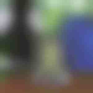 Zaino unisex con coulisse | STRIPEBACK