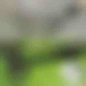 Strumento per il diserbo | RUNCO