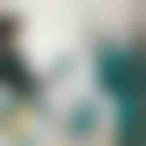 Mini ferro da stiro a vapore | FERROLITE