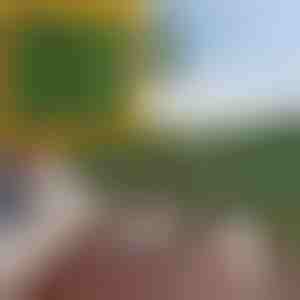 Pannello privacy con foglie artificiali | LEAFPANEL