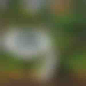 Luci solari da pavimento per esterni (3 pezzi) | LUMIGARD