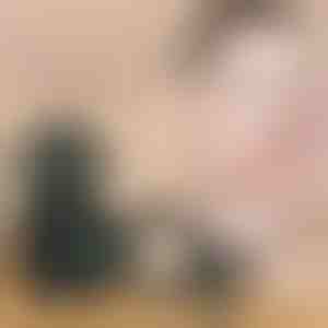 Correttore cremoso + Cuscino d'aria a testa di fungo | MUSSBALM