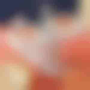 Pressa per pasta ripiena | DUMPLINGPRO