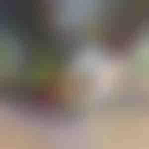 Tritatutto e affettatrice per verdure 12 in 1 (7 lame incluse) | CHOPMASTER