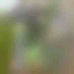 Zappa da giardino per una facile rimozione delle erbacce | GRASSOE