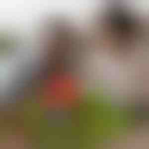 Cubi magnetici minicraft (48 pezzi) | MAGCRAFTI