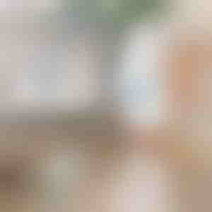 Spazzola elettrica rotante per la puliziaž | ROTOBRUSH