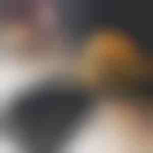 Creatore di hamburger | BURGIPRESS