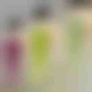 Pianta decorativa a sospensione | IVYORA