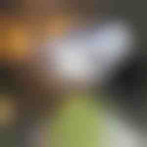 Sensore di movimento a luce solare | LUMACAM