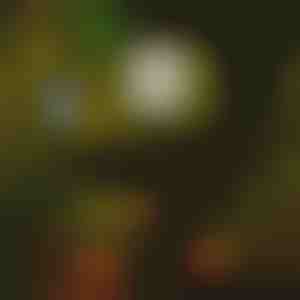 Luci solari per sentieri (6 pezzi) | LUMITRAD