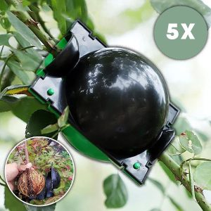 Scatola di propagazione per radici sane (5 pezzi) | ROOTY