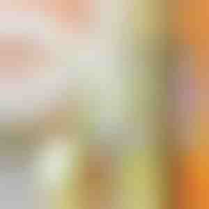 Affettatrice multiuso | SLICEWISE