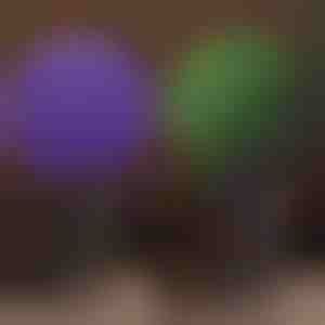 Sfera decorativa vegetale | TOPIORB