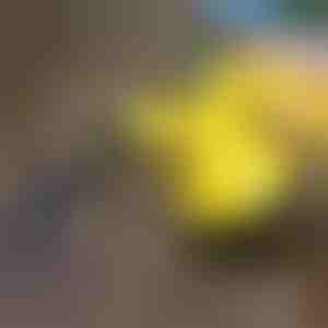 Pulitore a vapore per la disinfezione | VAPERO