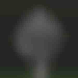 Mulino cinetico magico da giardino | WINDARA