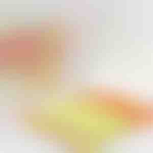 Pulitore per tende che dimezza il tempo | BLINDY