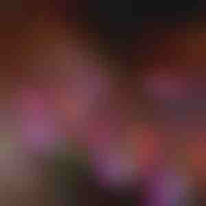 Luci solari da giardino a forma di fiore | BLOSSUN