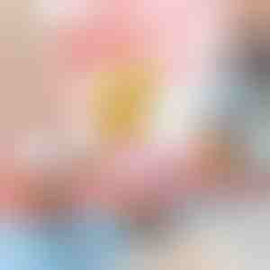 Pollo giocattolo salterino a carica (5 pezzi) | CHIKLET