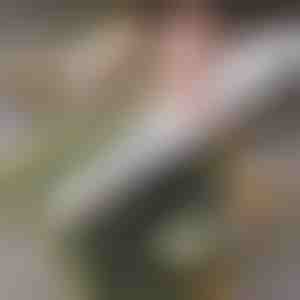 Rullo per sushi facile da casa | SUSHROLIO