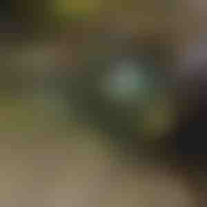 Carriola pieghevole | TROLLYFOLD