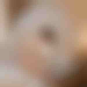 Tenda da letto antizanzare che ti protegge | BUGISTOP