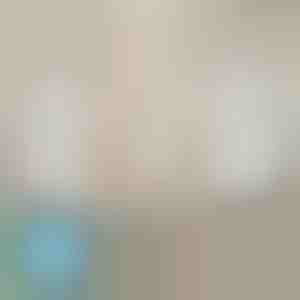 Fermi lenzuola che non scivolano mai (4 pezzi) | EVOHOLD