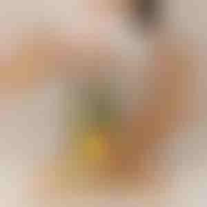 Affettatrice di ananas che funziona senza sforzo | PINECUT