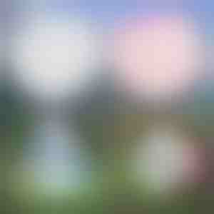 Bolla gonfiabile multiuso | SLIMEBUB