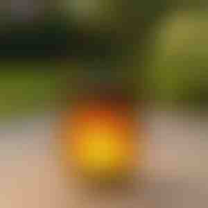 Lanterne solari con effetto fiamma danzante | FLAMLUX