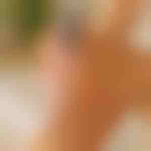 Lima per piedi elettrica e correttore di calli - Uso a secco e in acqua | PEDIVIA