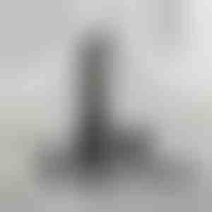 Regolatore multifunzionale per la cura personale | SHAVIX