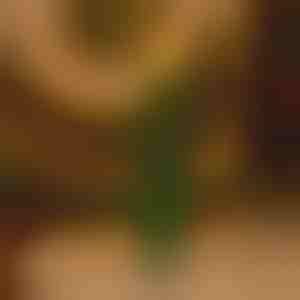 Candela natalizia tremolante senza fiamma | CANDLETREE