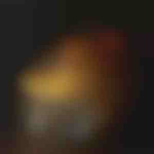 Fontanella per l'idratazione degli animali domestici | PETSPRINGLE