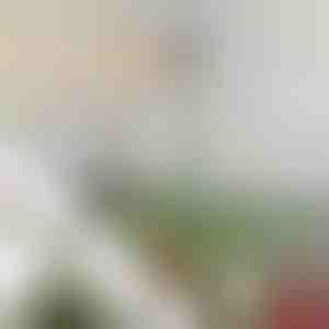 Asta stabilizzatrice regolabile per la punta dell'albero | STABLESTAR