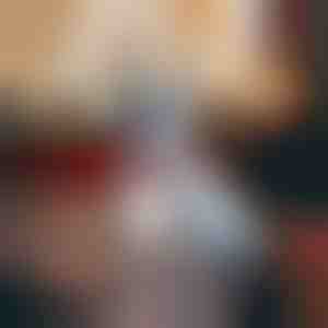 Collare per cani con fiocco di neve | DOGICOLLAR