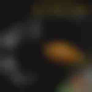 Set di vassoi per l'alimentazione dell'acquario | FINTROL